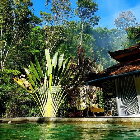 Hotel Mi Casa - The Gem Of Ijen Banyuwangi  Esterno foto