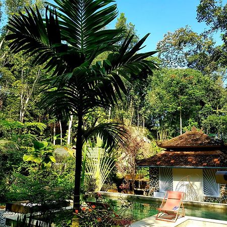 Hotel Mi Casa - The Gem Of Ijen Banyuwangi  Esterno foto