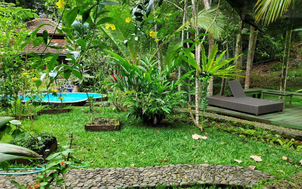 Hotel Mi Casa - The Gem Of Ijen Banyuwangi  Esterno foto