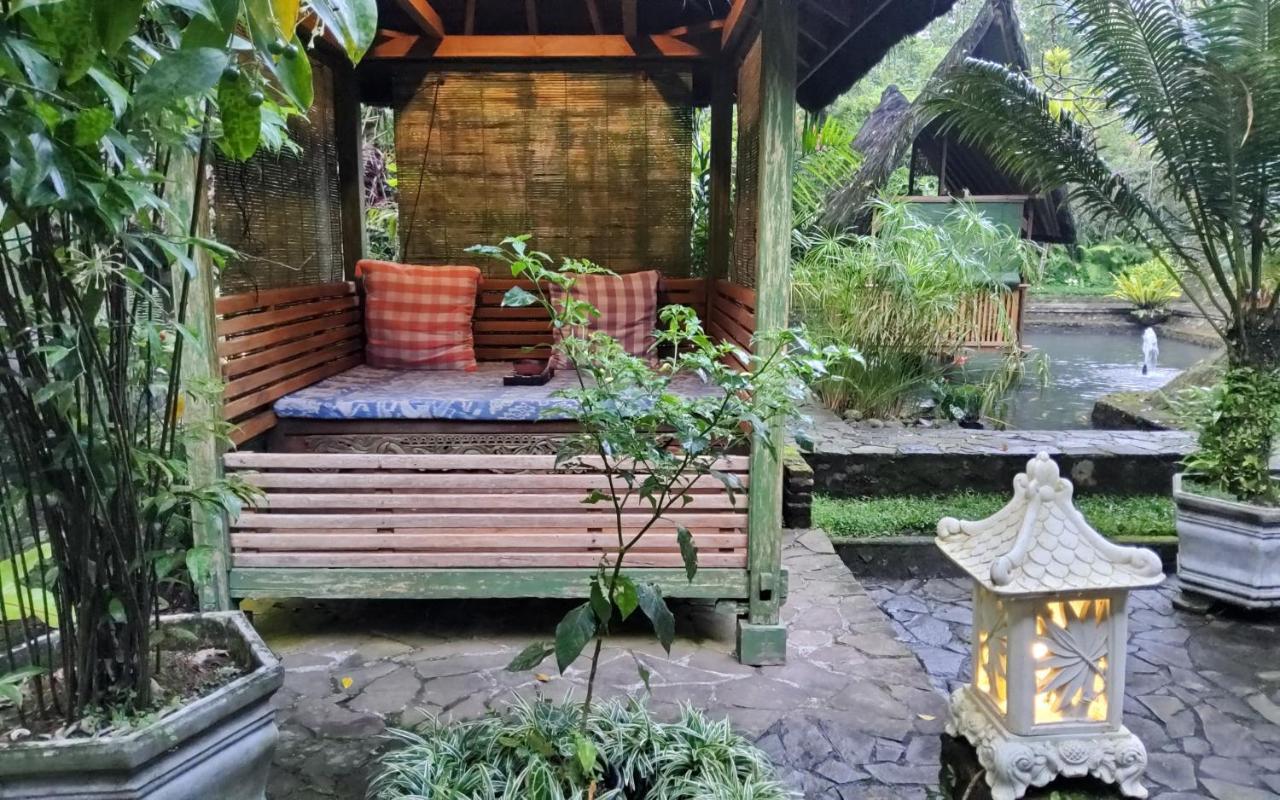 Hotel Mi Casa - The Gem Of Ijen Banyuwangi  Esterno foto