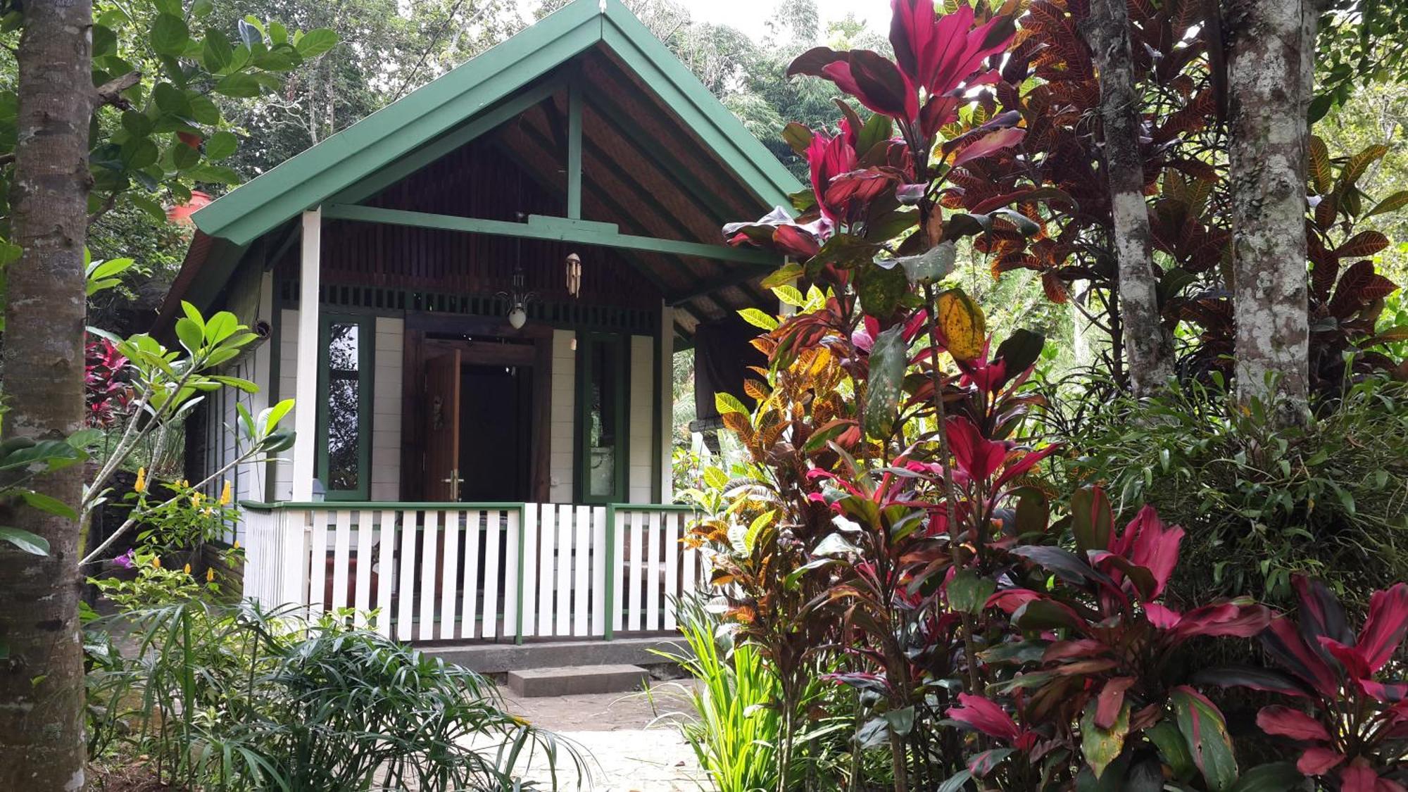 Hotel Mi Casa - The Gem Of Ijen Banyuwangi  Esterno foto