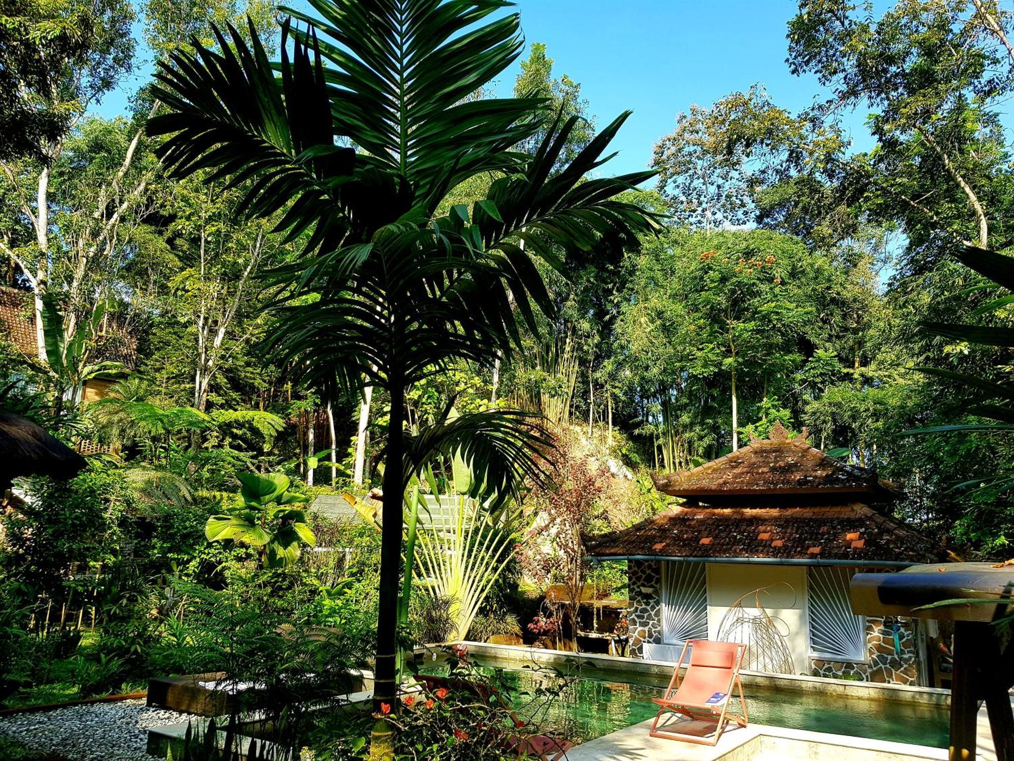 Hotel Mi Casa - The Gem Of Ijen Banyuwangi  Esterno foto