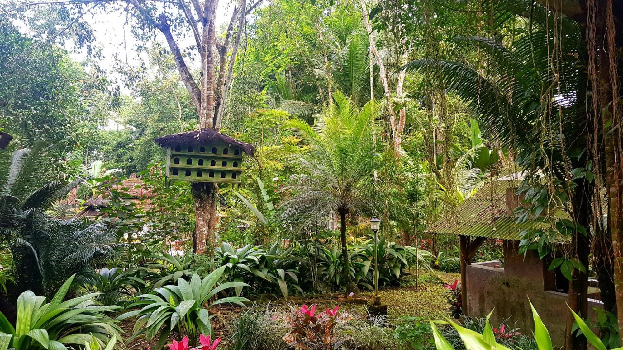 Hotel Mi Casa - The Gem Of Ijen Banyuwangi  Esterno foto