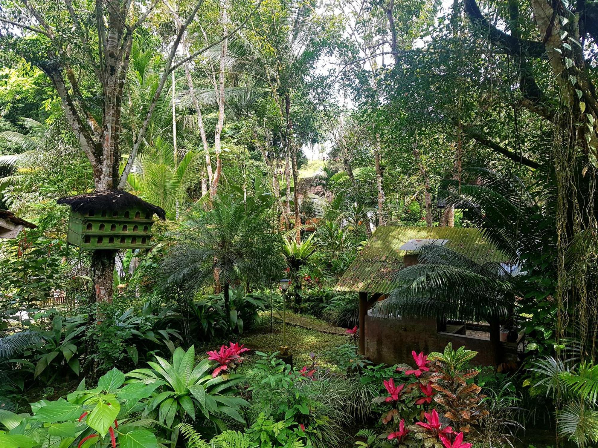 Hotel Mi Casa - The Gem Of Ijen Banyuwangi  Esterno foto