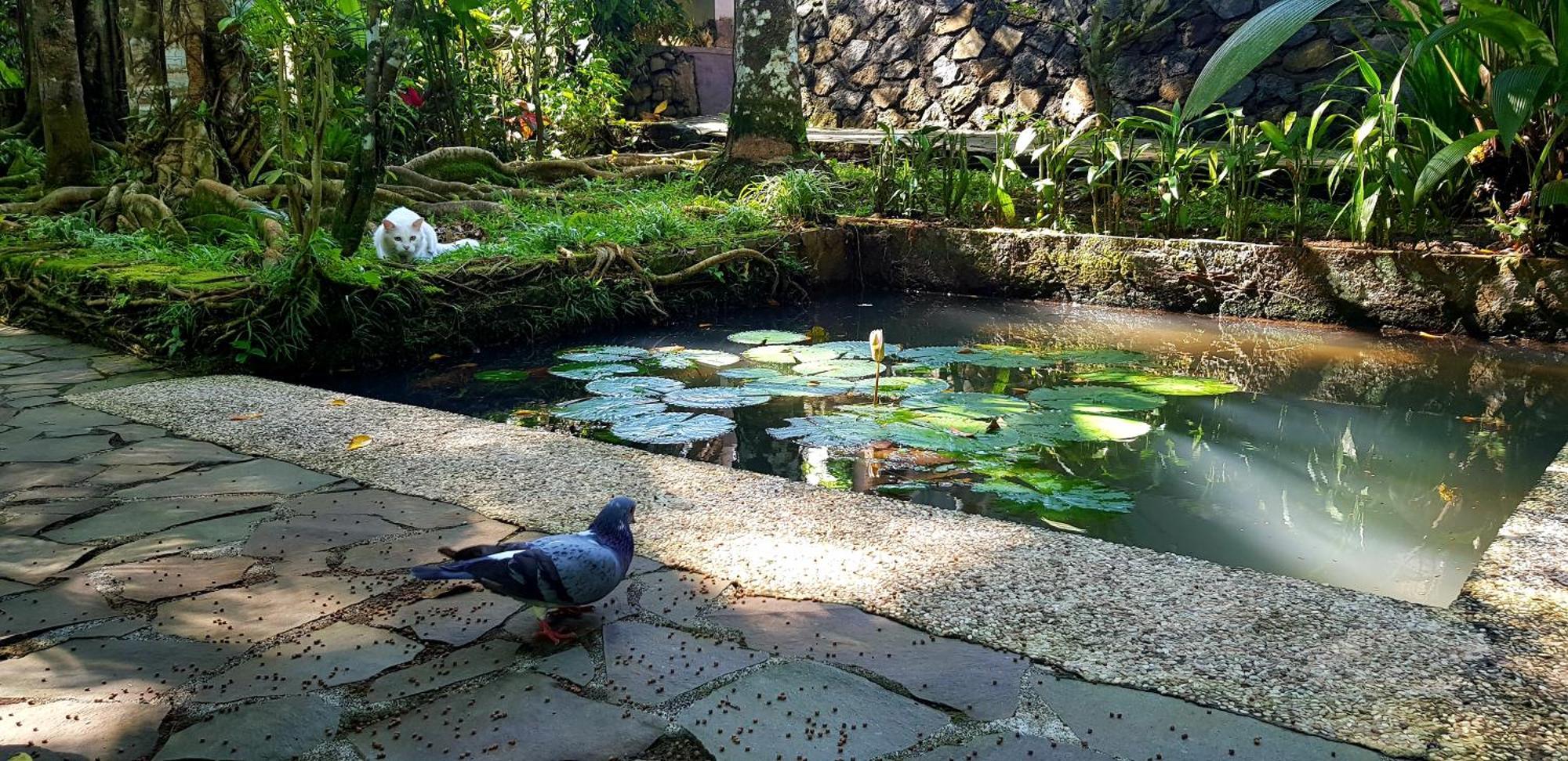Hotel Mi Casa - The Gem Of Ijen Banyuwangi  Esterno foto