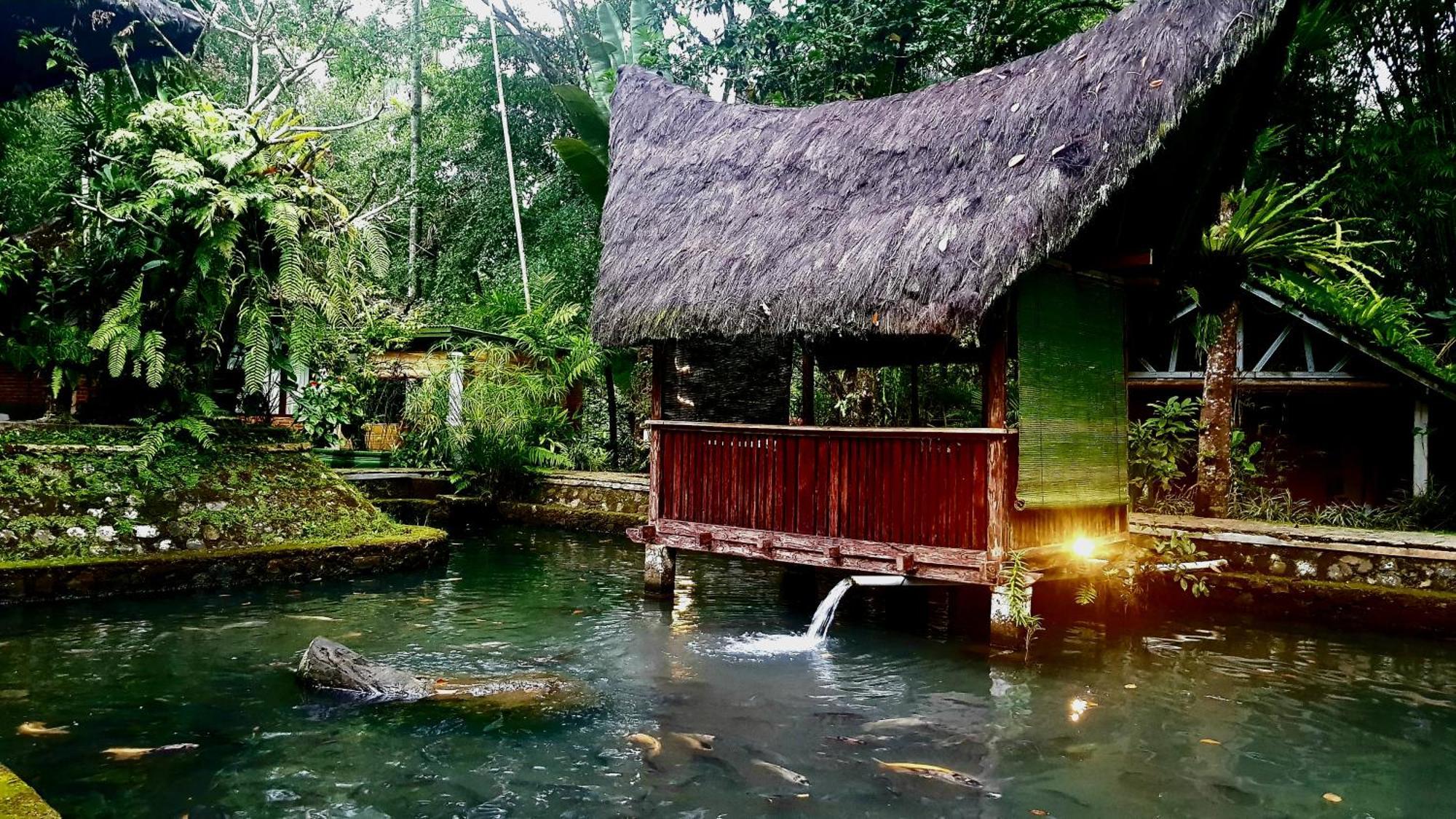 Hotel Mi Casa - The Gem Of Ijen Banyuwangi  Esterno foto