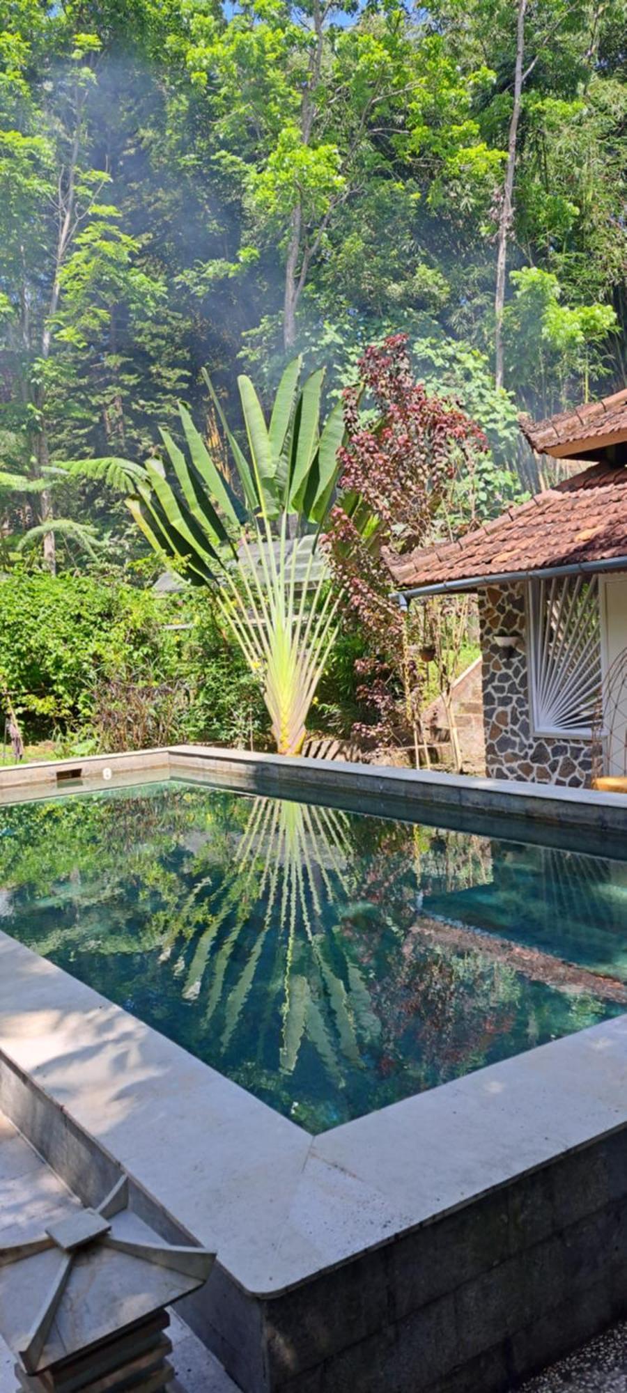 Hotel Mi Casa - The Gem Of Ijen Banyuwangi  Esterno foto
